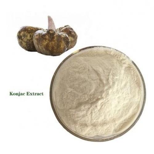 Wholesale Konjac Root Powder Konjac Gum Powder