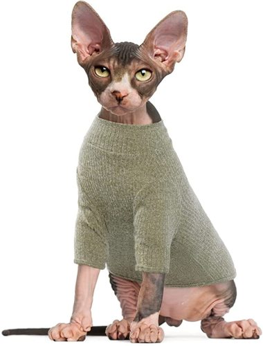 털이없는 고양이 조끼 터틀넥 스웨터