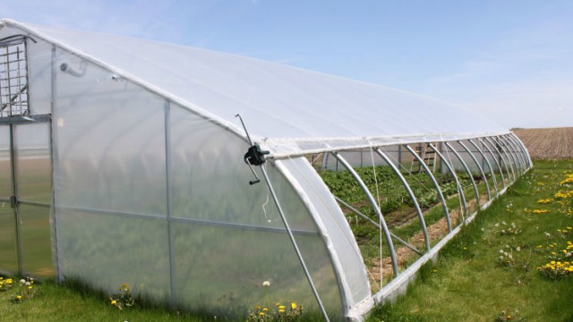 Agricultural film Tunnel Plastic greenhouse for lettuces