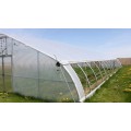 Tunnel Plastic Film Greenhouse for Vegetables Flowers