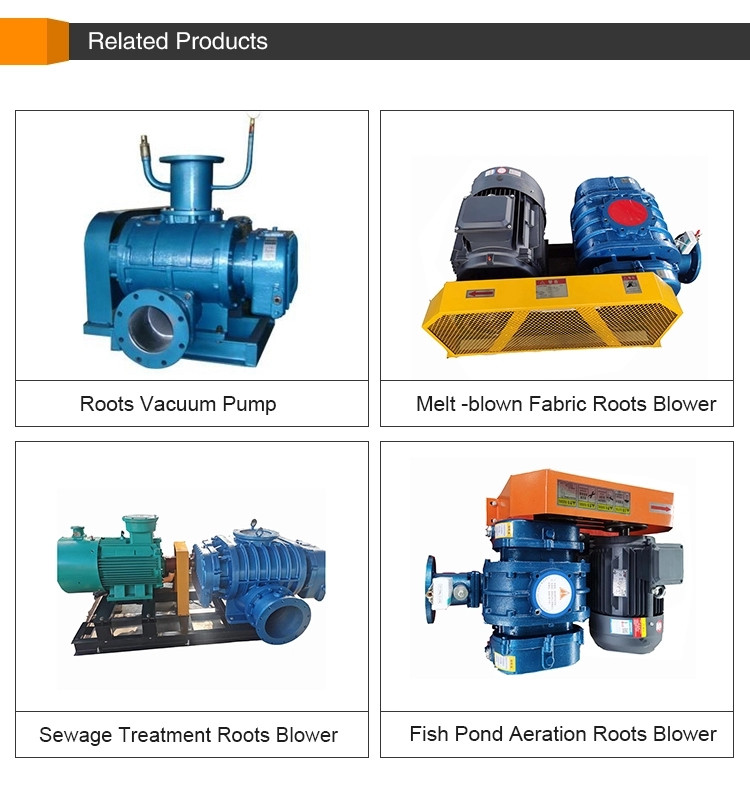 Roots Blower Vacuum Pumps