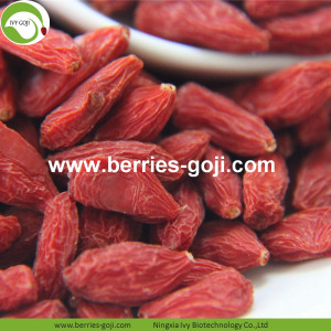 Suministro de fábrica al por mayor Diet Eu Standard Goji Berry