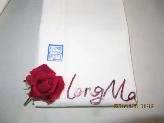 100%polyester pocketing fabric 110x76