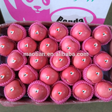 Sell Shandong Produced Fresh Fuji Apples