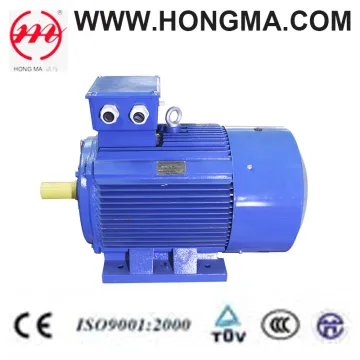 3HMI Series Cast Iron Premium Efficiency Electric Motor