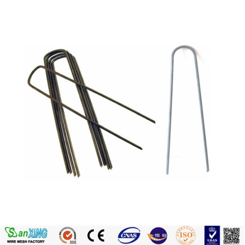 Common Nails Galvanized Fence Staple Hot Dipped Factory