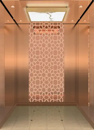 Household Villa Glass Home Elevator/small elevator /Glass Home Elevator