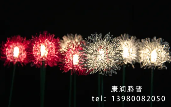 Luminous  Wire Dandelion Modeling Lights