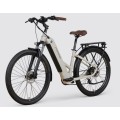 Bicicletta elettrica personalizzata per pendolare