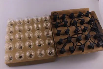 Hoilday Decoration led string light RGB led copper wire light g40 led cooper wire light bulb