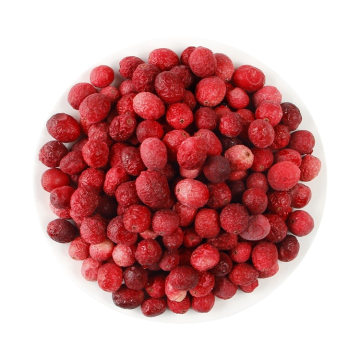 100% Natural Freeze-Dried Cranberries - Sweet, Bulk Packaging, FD Certified