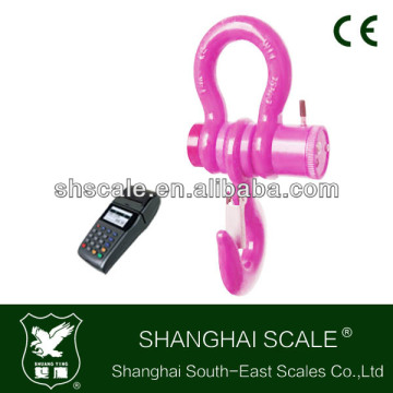 20ton Printer Crane Scale