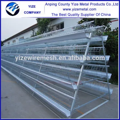 chicken layer farm/fans for chicken farm/farm equipment chicken