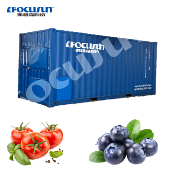 20ft Container Solar Cold Room for Meat, Vegetable, Fish, and Fruit Storage