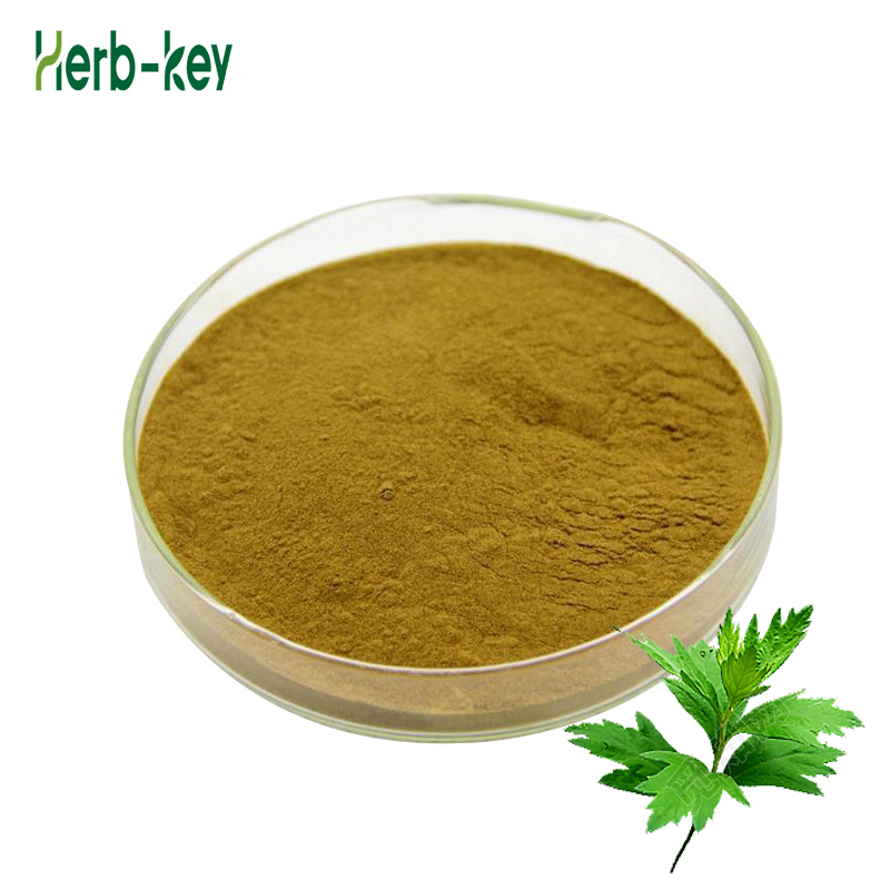 Food Grade Wormwood Powder Argy Wormwood Leaf Extract