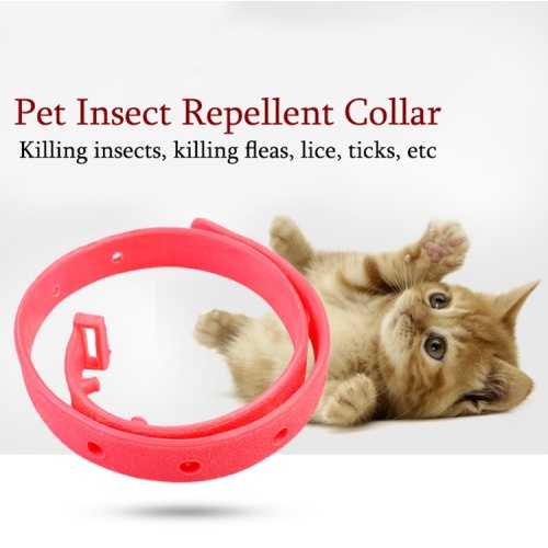 Collana per gatto per compagni di gatto per animali domestici in silicone anti-mosquito