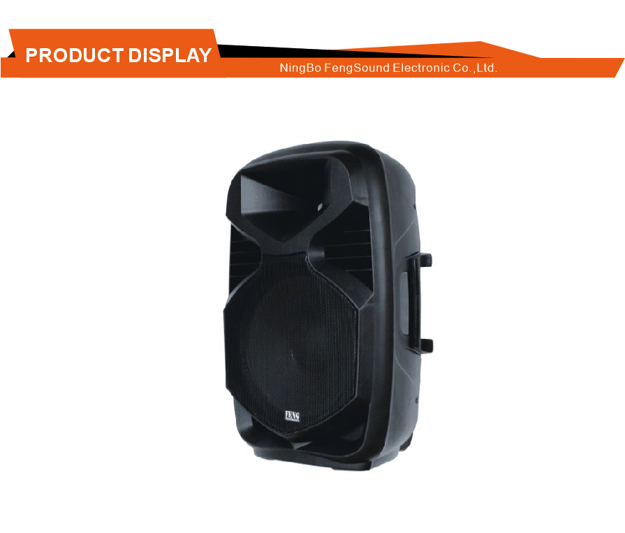 Microphone Echo Effect Speaker