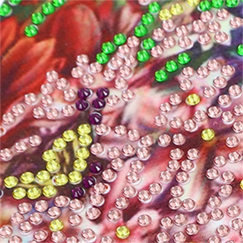 Butterfly Beauty Crystal Crystal Diamond Painting