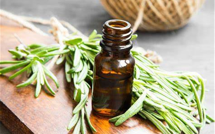 Rosemary + Essential + Oil Pure &amp; Natural