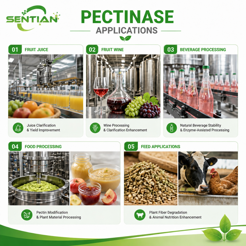 Pectinase2