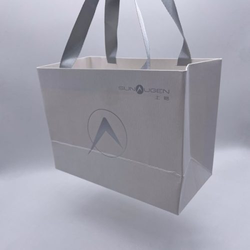Luxury Boutique Shopping & Gift Packaging Paper Bag