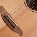 Marque Mollo Mahogany Rosewood Basswood Guitare acoustique