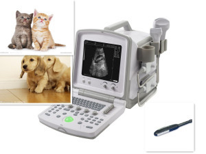 Sp-880 Veterinary Ultrasound Scanner