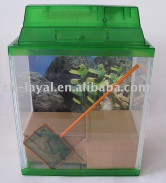Fish Tank