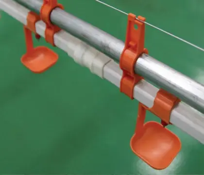 Drinker in poultry farm