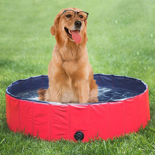 Foldable Dog Pool Heavy Duty PVC Pet Pool