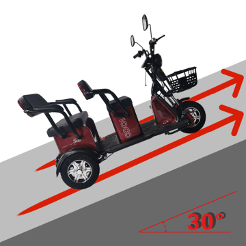 Adult 3 Wheel Electric Tricycle with Passenger Seats