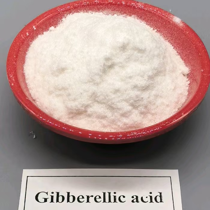 Gibberellic acid (GA-3) 90%TC plant growth regulator (23)