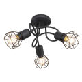 Wire cage shade ceiling light LED light bulb