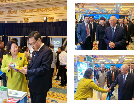 qingao Promotion Meeting2
