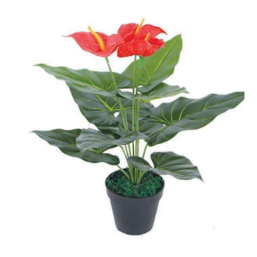 Linwoo JS2235 Artificial Anthurium Bonsai Plant - Wholesale Decor Supplier