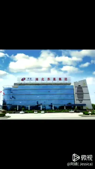 2020 China OEM factory New Truck Cab for 2300mm length with sleeping beds