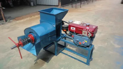Palm oil press