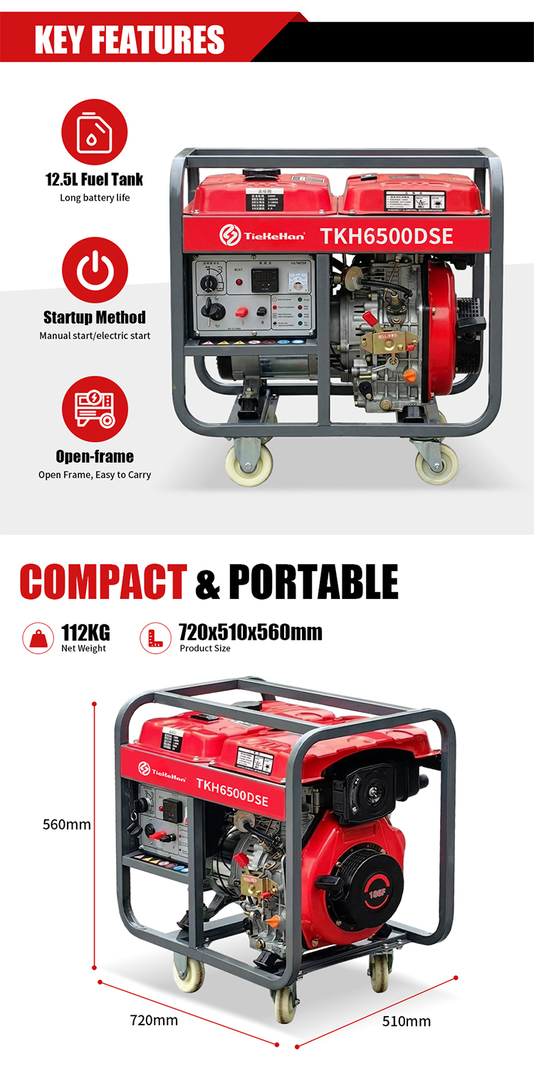 TKH6500DSE Conventional Diesel Generator (11)
