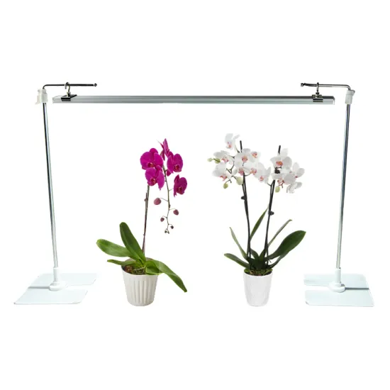 Indoor Phyto Lamp: Full Spectrum 24V LED Grow Light Strips for Orchids and Seedlings