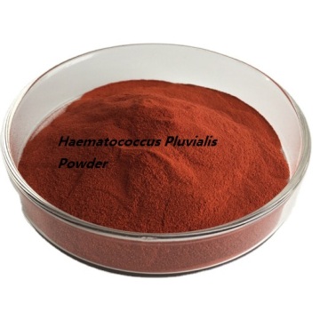 Factory Supply Supplements Haematococcus Pluvialis Oil