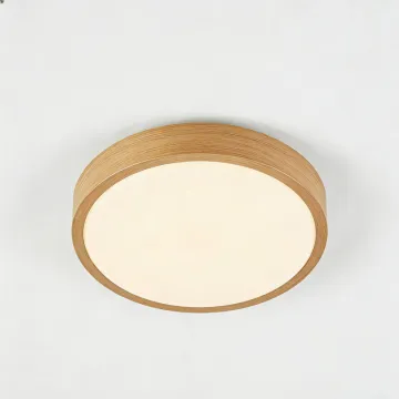 Indoor ceiling fixture for daily lighting