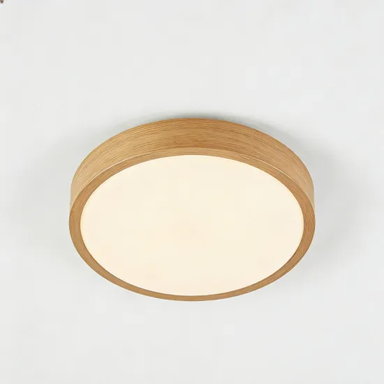 Indoor ceiling fixture for daily lighting