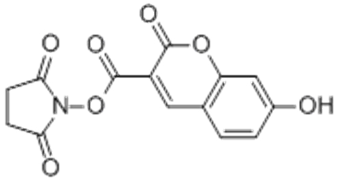 7-HYDROXYCOUMARIN-3-CARBOXYLIC ACID N-SUCCINIMIDYL ESTER CAS 134471-24-2