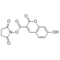 7-HYDROXYCOUMARIN-3-KARBoksİLİK ASİT N-SUCİNSİNİMİDİL ESTER CAS 134471-24-2