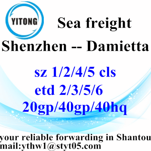 Shenzhen International Freight Forwarder Shipping to Damietta