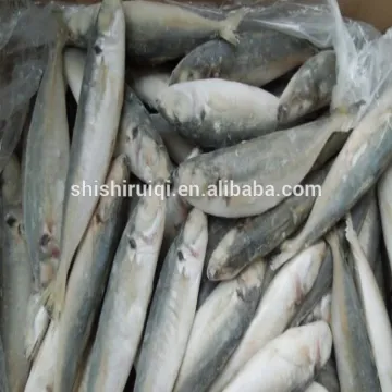 Bait fish frozen round scad japanese scad for sale