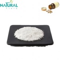 Male Health Care Ingredient High quality 98% Salidroside rhodiola rosea extract powder Factory