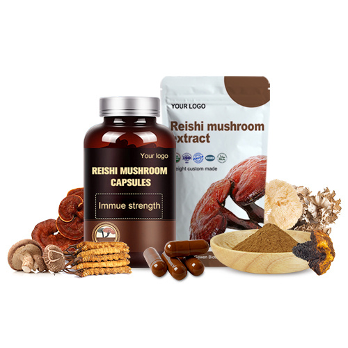 Chiết xuất nấm Reishi Ganoderma lucidum polysacarit