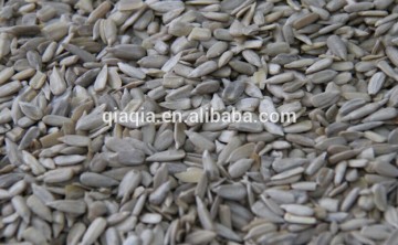 2014 most fresh nutty smell sunflower seed kernel