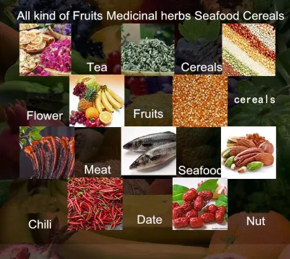 Best Commercial Food Dehydrator for Beef Jerky